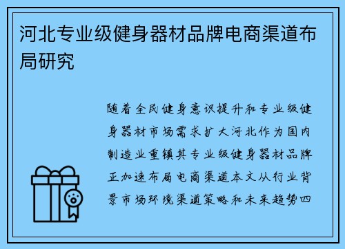 河北专业级健身器材品牌电商渠道布局研究